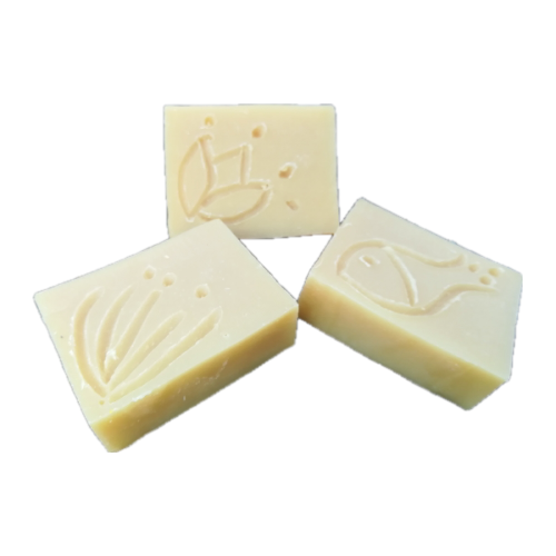 Tuhý šampon na vlasy "Mořské vlny" 120g