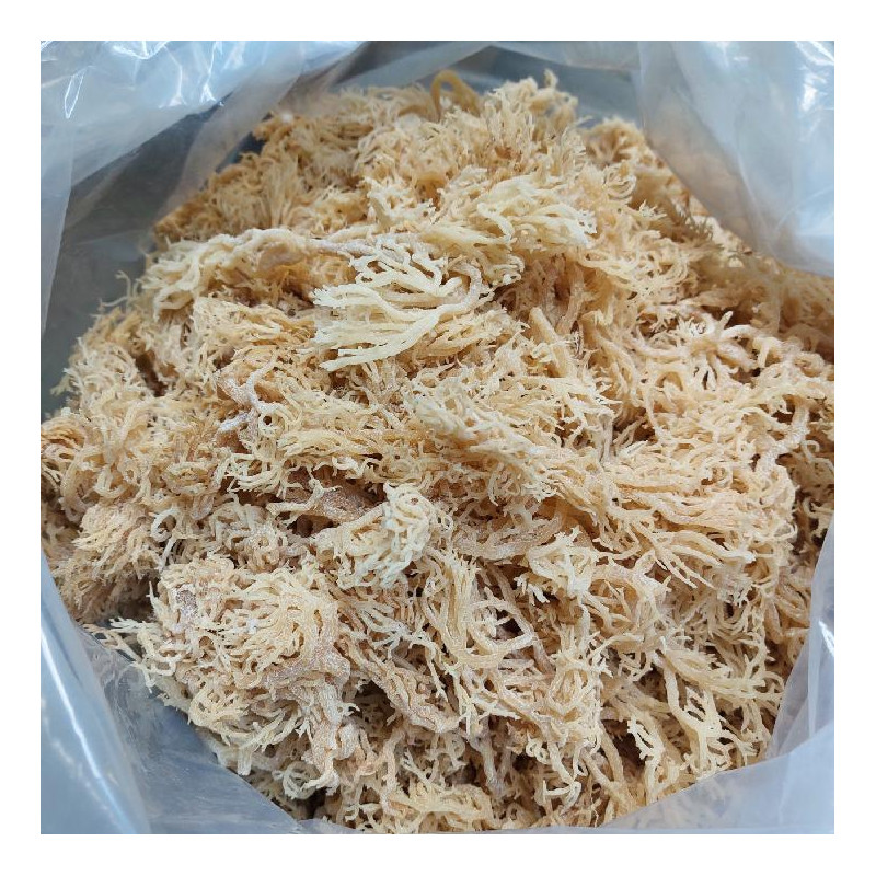 Limitovaná edice: 100G Irský mech čerstvý prosušený, sklizeň říjen 2023 - rostlinná alternativa kolagenu