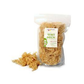 Superfood a mořské řasy